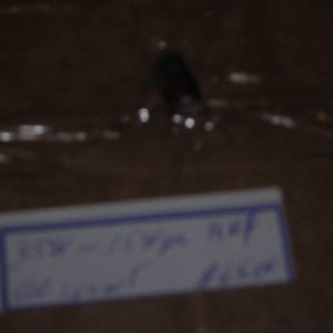 Lead Bullets 358-158 round nose flat point 500 per box
